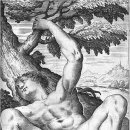 카세리오 이미지