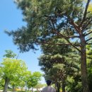 동천2리 마을회관 | 아산 공세리성당 - 주차 박물관 아산여행 아산가볼만한곳