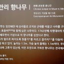 영산정사 성보박물관 이미지