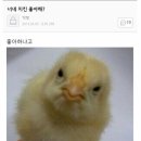 치킨좋아 - 안양시 동안구 관평로 227 | 치킨좋아