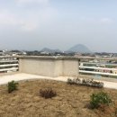 하모리-37 이미지