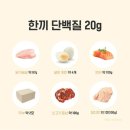 예스점핑 이미지