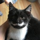 시실리아일랜드 이미지