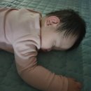 불로불러바베큐치킨