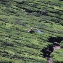 하이브메이트부동산중개 | 구리 부동산 1인 가구 원룸 오피스텔 완벽 비교, 나에게 맞는 집 구하는 법