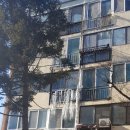 교현주공아파트 이미지