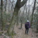 한라산둘레길 3ㅡ4구간 이미지