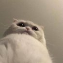 산격야영장 이미지