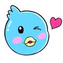 파랑새안경 이미지