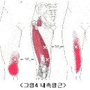 월간 클리어 2007년 4월호" 연재 (連載)글 대퇴사두근 이미지