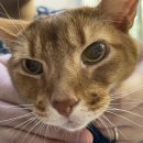 땡큐동물병원 이미지