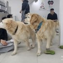 뭉스벨리 이미지