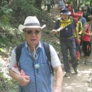 태평성대 이미지