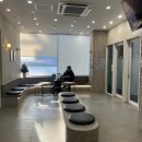 해옴동물병원 | 광명 하안동 24시 모두의 동물병원 강아지 다리 절뚝임 치료 후기