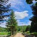 효자백년밥상영농조합법인 이미지