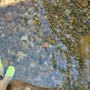 지리산장당계곡식당 이미지