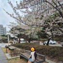 아동미술(2018~2019년생) | 2026 한양대 미술영재원 모집공고! 전형 A, B 차이점? 영재원후기 공유!