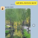 케이에스병원 이미지