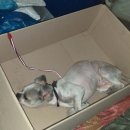 상계119안전센터 이미지