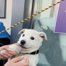 석곡 대황강 자연휴식체험캠핑장 이미지