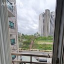 샤넬고시원