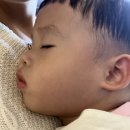 라빌레뜨 | 22개월 아기와 제주 일주일살이 1-3일차 기록