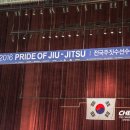 BD 주짓수 | 프라이드 오브주짓수대회 참관 후기 -1
