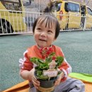 좋은열매 어린이집 이미지