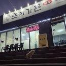 로이니 | 여주 로이가든 흑염소 전골 먹방 후기