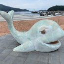 술상바다횟집 이미지