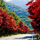 청학목장 이미지