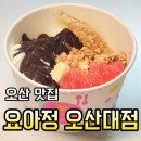 요거트아이스크림의정석오산대점