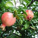 이정균내과의원 이미지