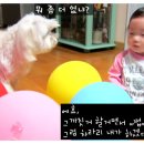 두둥