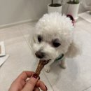 괴산미향 이미지