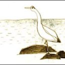 빛나는 바다 이미지