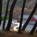 청도감마을 이미지