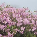 의령한우국밥 이미지