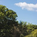 발트바우(WALD BOW) | 2020.09.27 - 골든리트리버 최꼬미 at 일산 대형견 애견운동장 발트바우