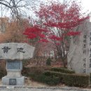 황지자유시장 코스 이미지