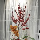 플로리스트자격 이미지