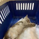 시장1길 이미지