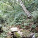 천흥천 이미지