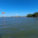 코코넛19 이미지