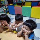 동물농장(새노래)&amp;숟가락으로 물 옮겨보기 이미지