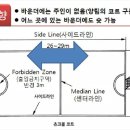 뉴스포츠교육 Daum카페