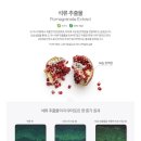 비사쥬