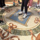 밀라노 | 이탈리아 | 밀라노 여행후기🇮🇹(+밀라노 대성당, 브레라 미술관, 젤라또 맛집)