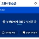찹찹떡떡 | 고향사랑기부제 답례품 받은 후기~부산 금정구 찹찹떡떡(프리미엄 찹쌀떡)