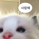 효문공단 내부도로 | 2종보통 / 독학 도로주행 2트 합격 후기 /부산남부운전면허장/주행연습 A4규격